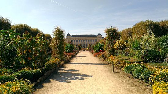 Botanischer Garten Jardin des Plantes
